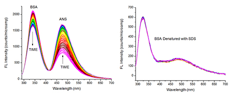 Kinetic spectral scans of native BSA protein