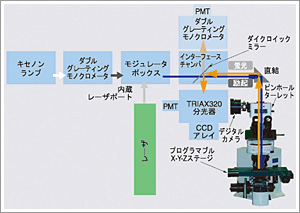 図1 ダイアグラム概略図