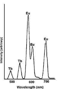 リン光寿命の違いを利用した混合物成分の分離1