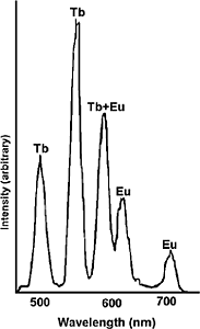 リン光寿命の違いを利用した混合物成分の分離2