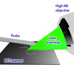 AFM-Raman oblique or side illumination configuration
