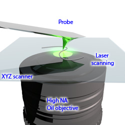 AFM-Raman inverted microscope configuration