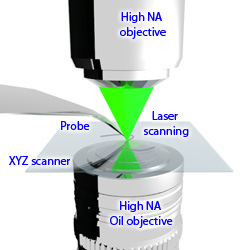 AFM-Raman inverted and upright microscope configuration