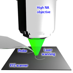 AFM-Raman upright microscope configuration