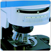 Raman Spectroscopy Systems