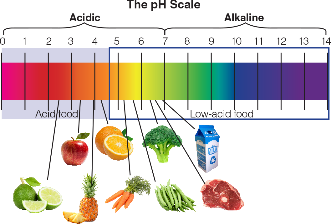 Ph Measurement Of Pickled Fruits And Vegetables Laqua Water Quality
