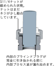 セーフティソケット内のブラインドプラグナットが緩められた状態