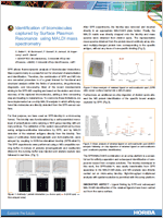 Newsletter - Fall 2008