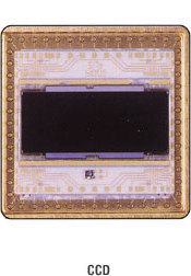 CCD