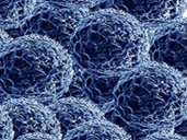 Nanoparticles