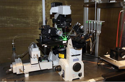 Simultaneous Ca++ Fluorescence and Patch Clamp Electrophysiology Research