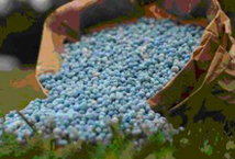 Fertilizers