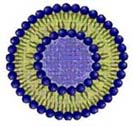 Liposomes