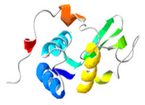 Visualization of lysozyme