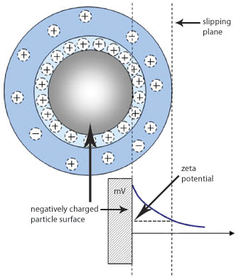 Zeta Potential