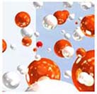 Pharmaceutical Seminar in Newton, MA