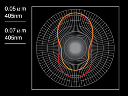 2009 Webinar Series