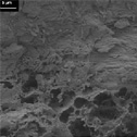 Particle Size and Shape of Pharmaceutical Granules Using Dynamic Image Analysis