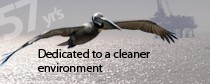 Pelican