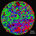 Raman Mapping