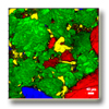 Raman Spectroscopy