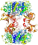 Proteins Web Page and Application Notes