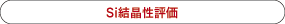 Si結晶性評価