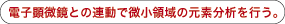電子顕微鏡との連動で微小領域の元素分析を行う。