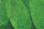 Latent Fingerprint Detection