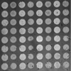 Flow cell image - SPRi Software