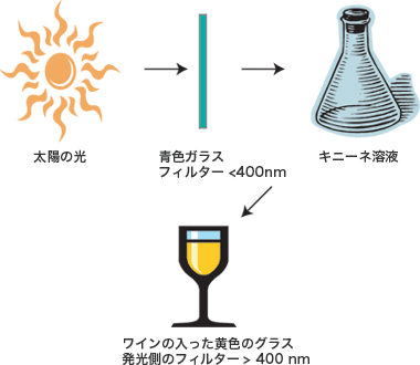 黄色蛍光の観察図