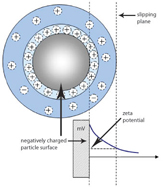 Colloid Stability