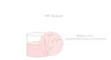 CBC+CRP
