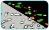 Xplora Biology Application Note