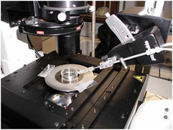 XploRA INV sample stage equipped with micro-injector XploRA INV sample stage equipped with micro-injector