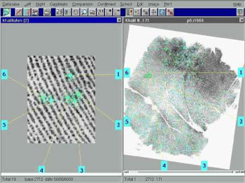 PrintQuest and Fingerprints