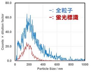 ナノ粒子径分布 濃度測定装置 Viewsizer3000 Horiba
