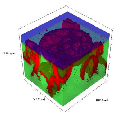 Expanded polymer beads