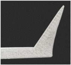 SEM image of the Ag coated OMNI TERS probes