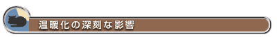  温暖化の深刻な影響