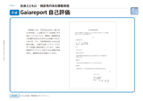 Gaiareport 自己評価