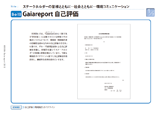 Gaiareport 自己評価
