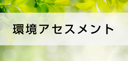 環境アセスメント