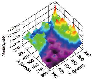 発光強度の3Dマッピング表示