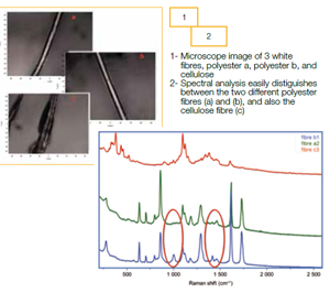 Microsope Image of 3 white fibres