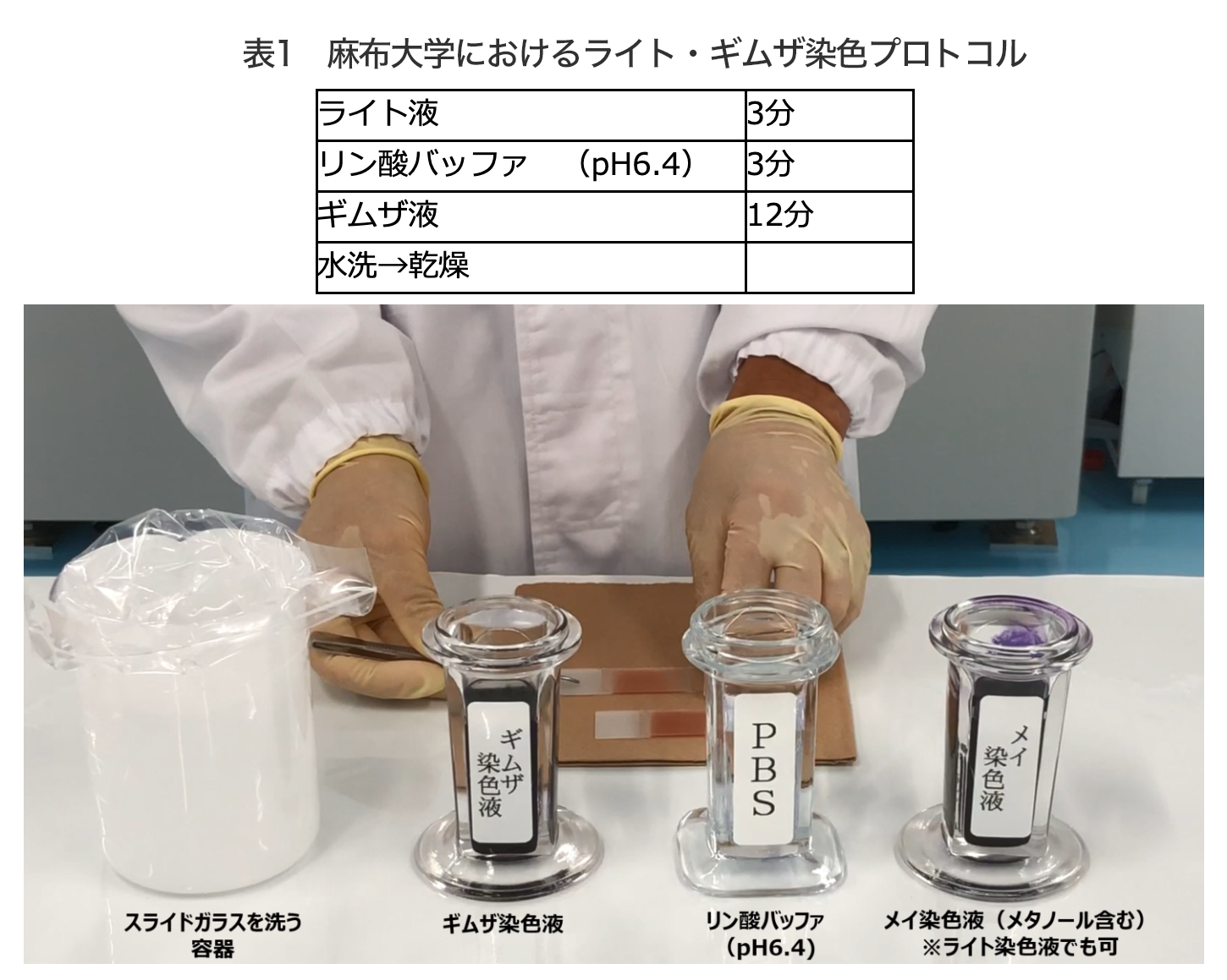 わんポイントレッスン 特別号 わんポイントレッスン 学術資料 Horiba Medical For Vet