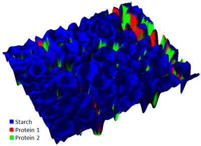 Raman imaging of a thin section of maize cells on a CaF2 substrate Raman imaging of a thin section of maize cells on a CaF2 substrate
