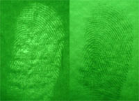 Latent fingerprint on Painted Wall