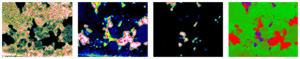 Hyperspectral Mapping Analysis