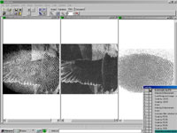 Background Subtraction